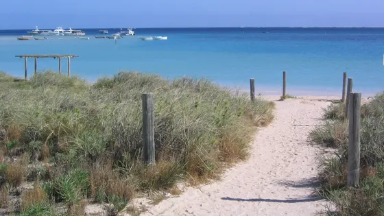 Coral Bay (Bills Bay)