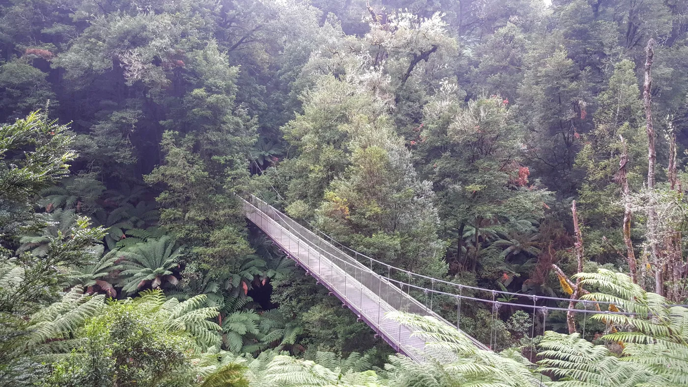 Corrigan Suspension Bridge