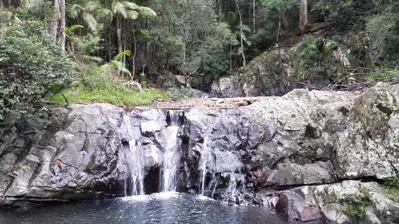 Cougal Cascades