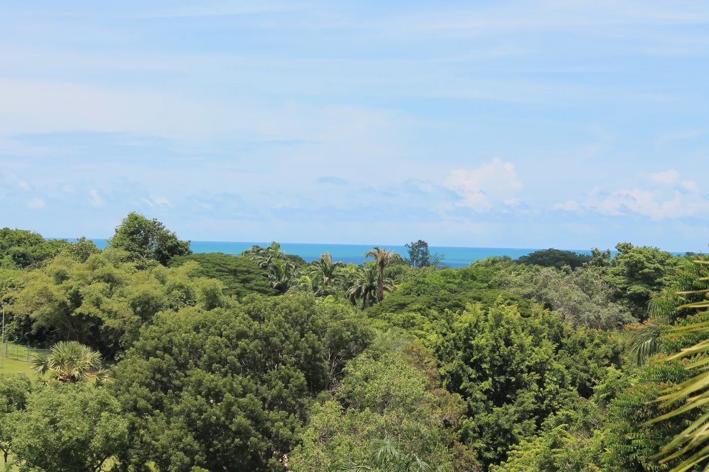 Cycad Garden Lookout