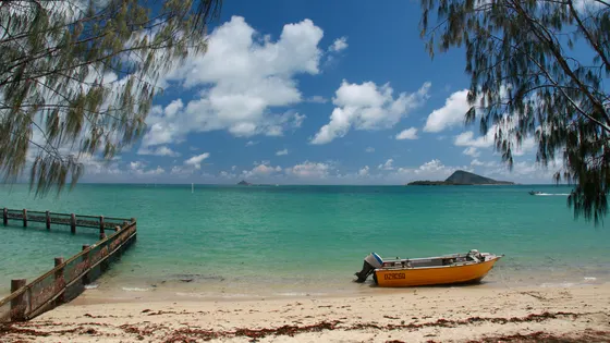 Dingo Beach