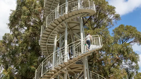 DNA Tower