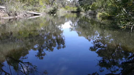 Dr Roberts Waterhole track