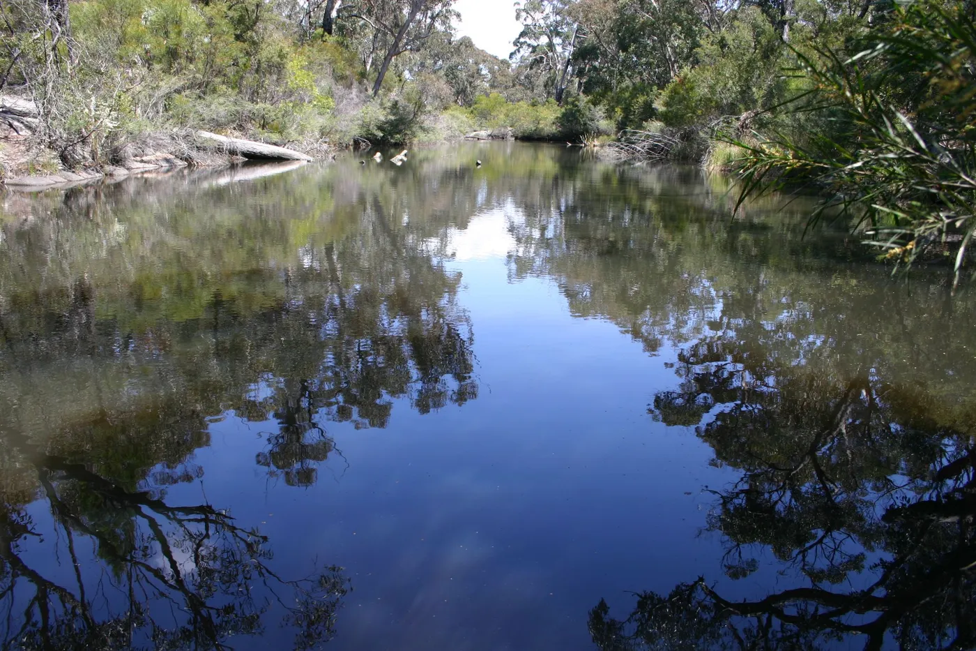 Dr Roberts Waterhole track