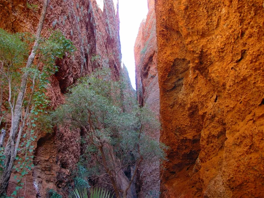 Echidna Chasm