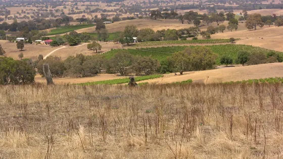 Eden Valley Lookout