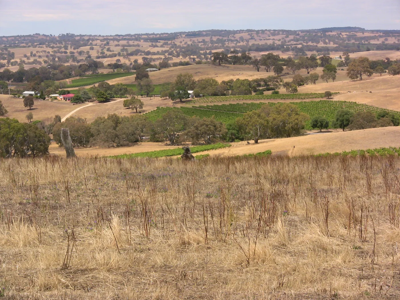 Eden Valley Lookout