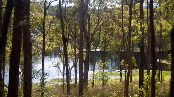 Enoggera Reservoir