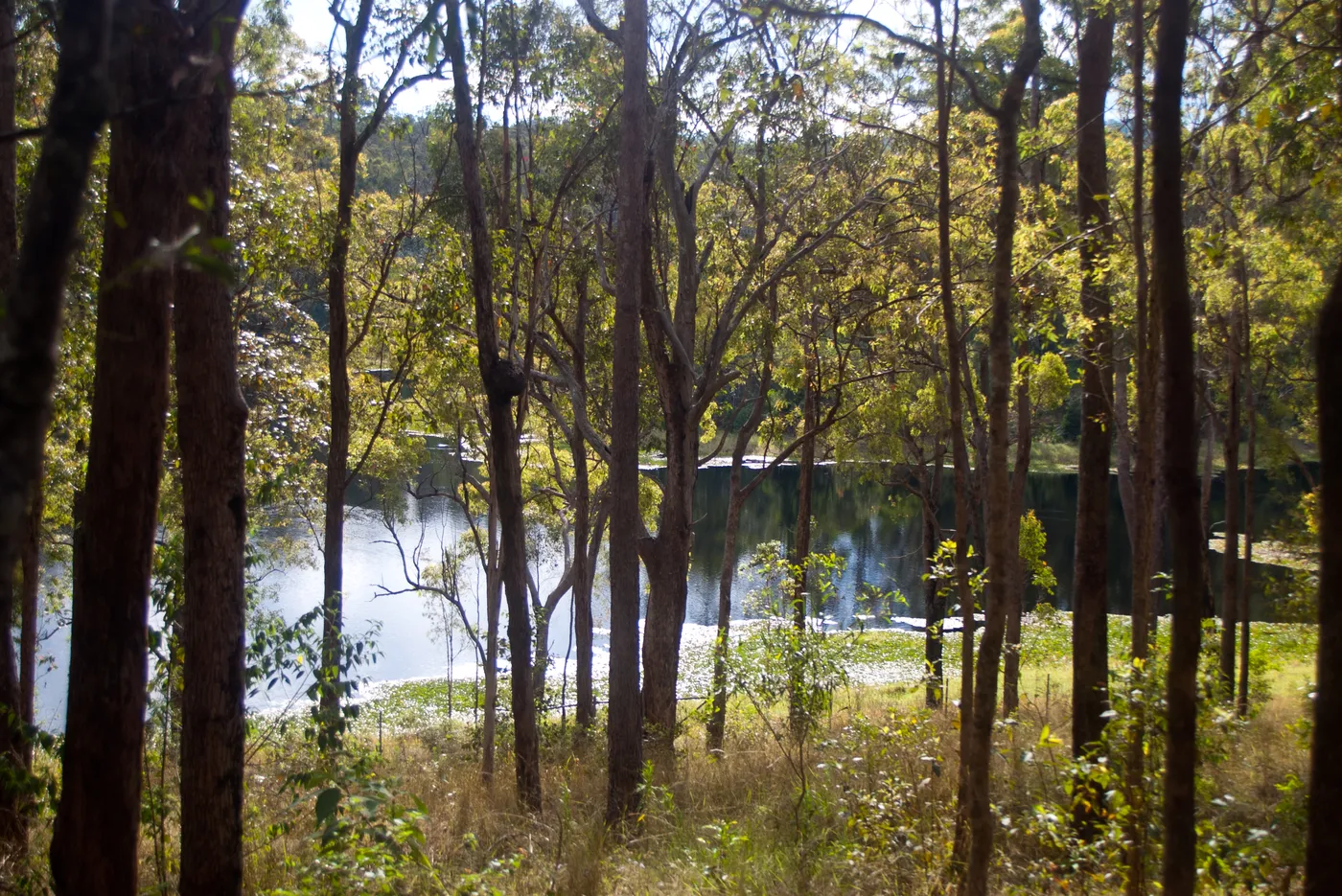 Enoggera Reservoir