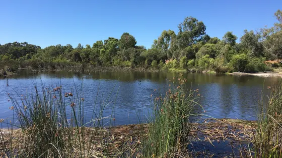 Eric Singleton Bird Sanctuary