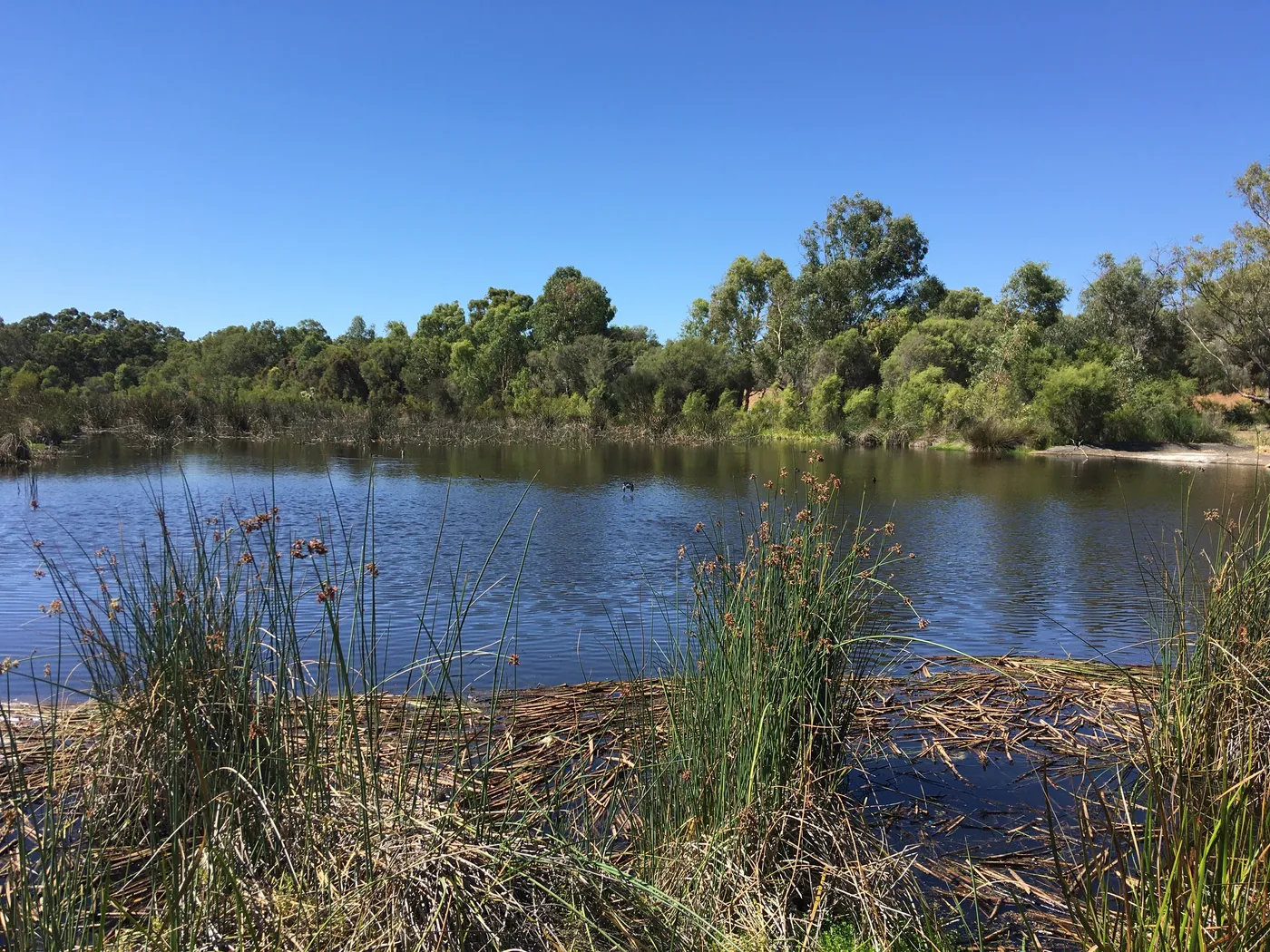 Eric Singleton Bird Sanctuary