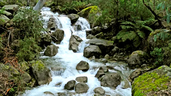 Eurobin Falls