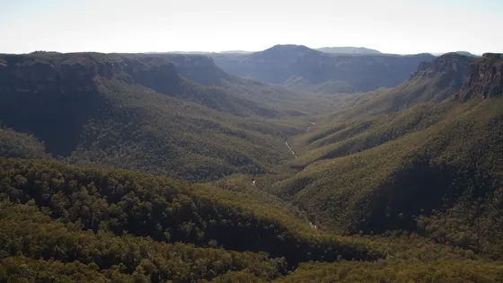 Evans Lookout