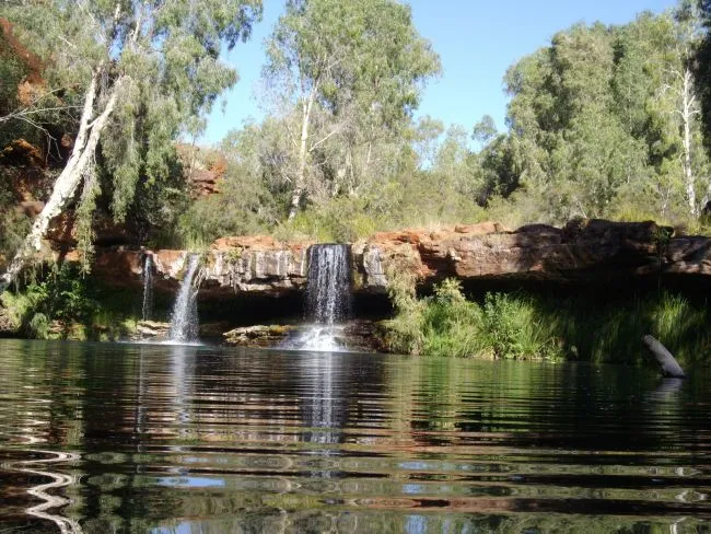 Fern Pool (Jubura)
