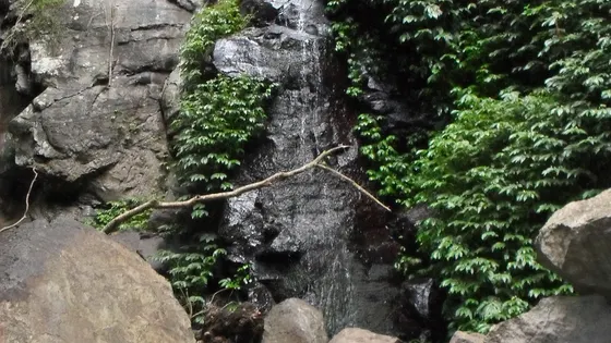 Festoon Falls