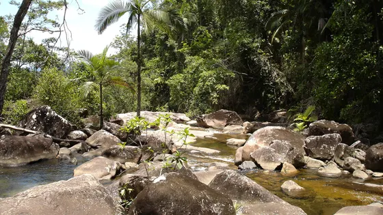 Finch Hatton Gorge