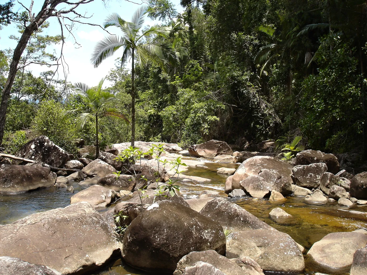 Finch Hatton Gorge