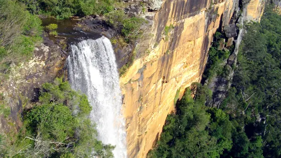 Fitzroy Falls