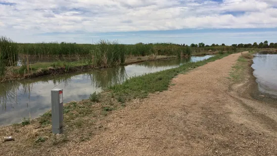 Fivebough Wetlands