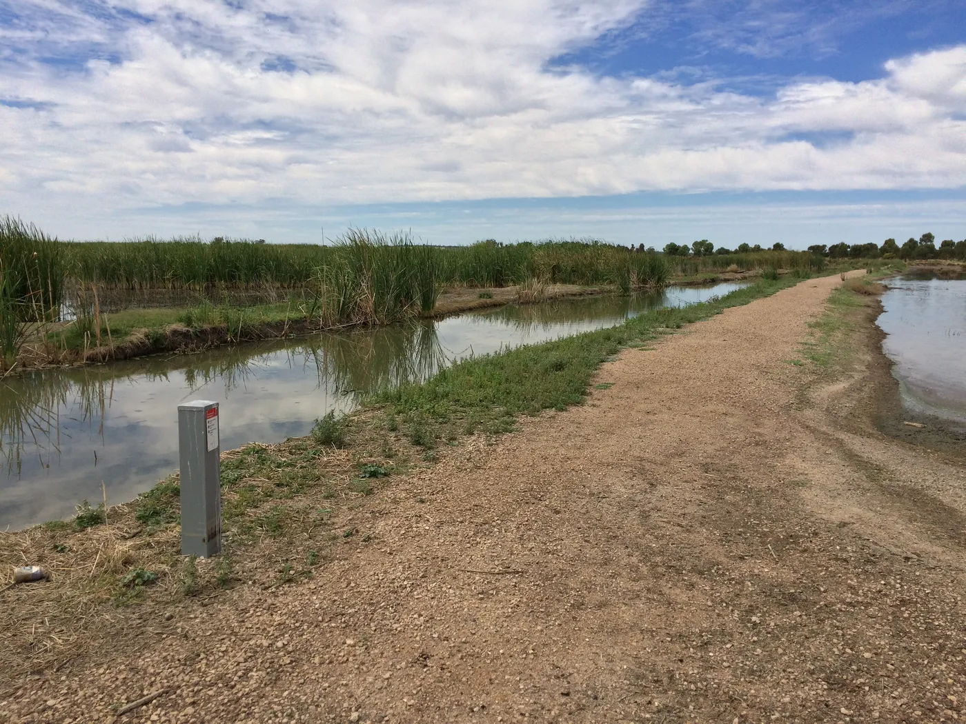 Fivebough Wetlands