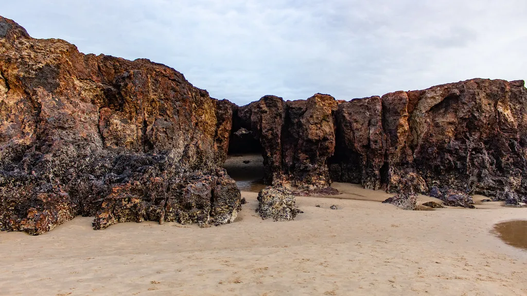 Forrest Caves