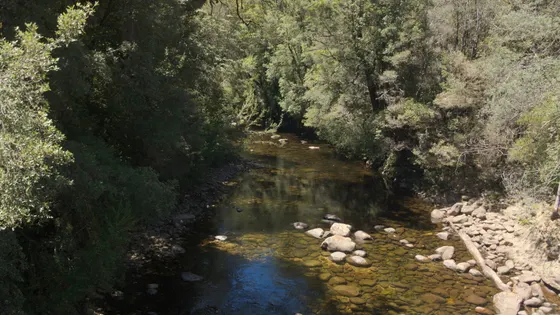 Franklin River Nature Trail
