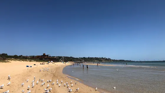 Frankston Beach