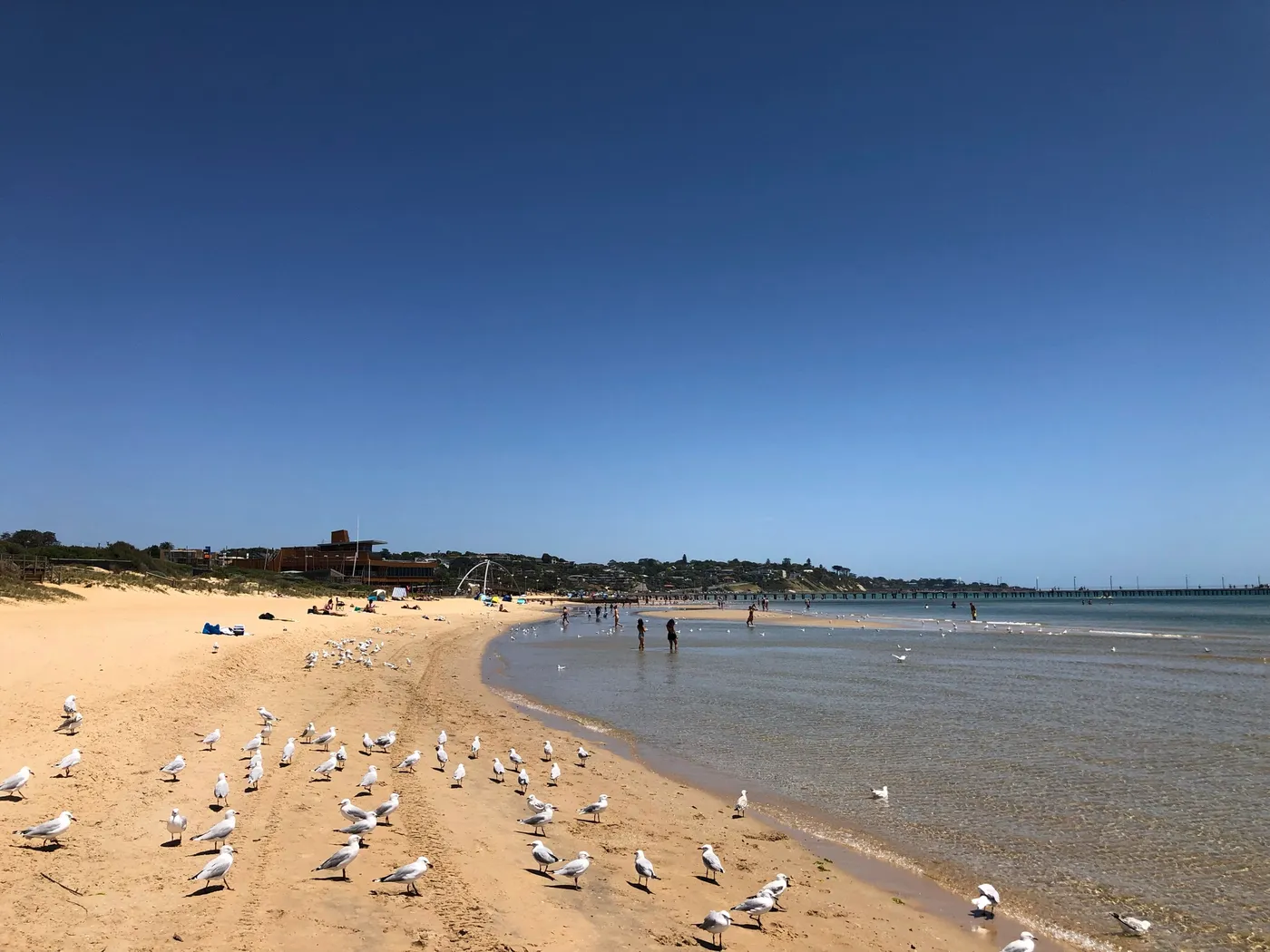 Frankston Beach