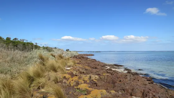 French Island National Park