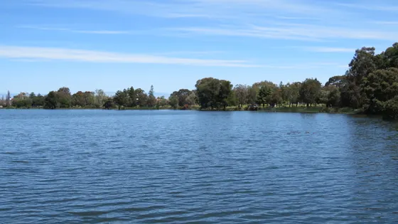 Galup (Lake Monger)