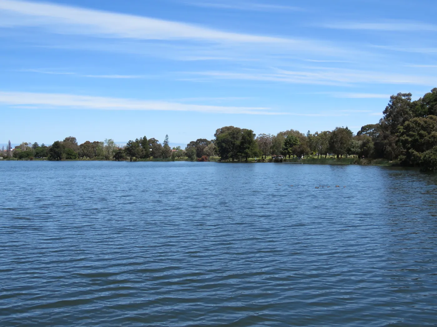Galup (Lake Monger)