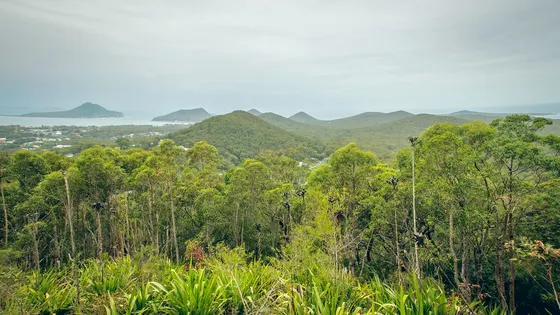 Gan Gan Hill Lookout