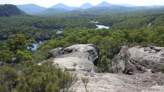 Ganguddy-Dunns Swamp