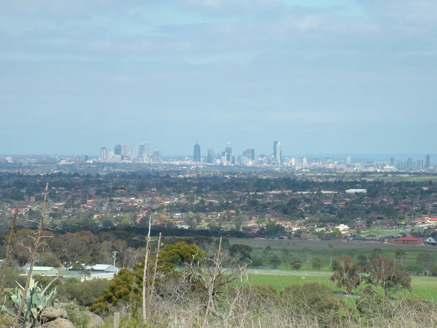 Gellibrand Hill