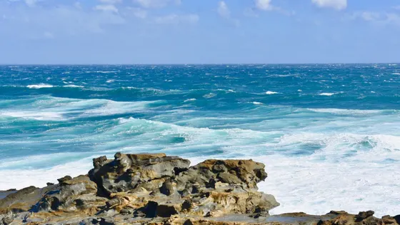 George Bass Coastal Walk