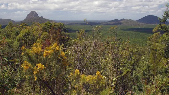 Glass House Mountains Lookout