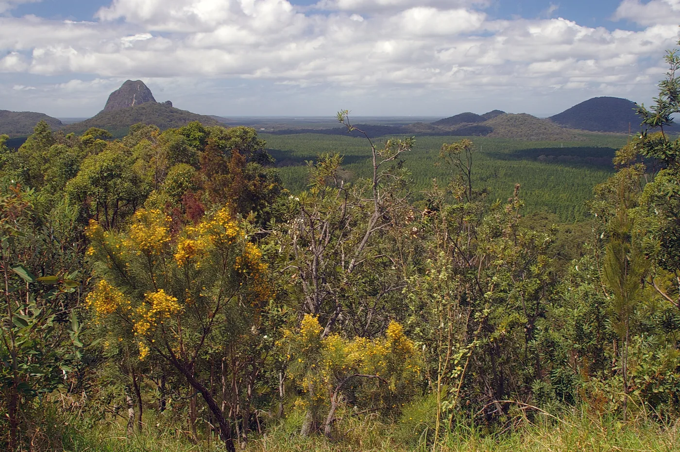Glass House Mountains Lookout