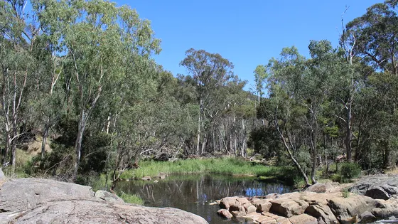 Gooram Falls