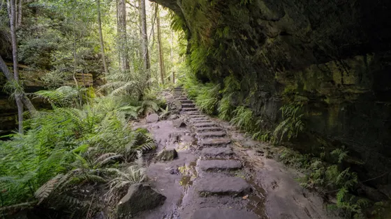 Grand Canyon track