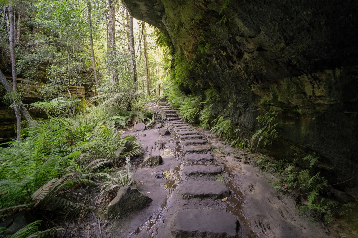 Grand Canyon track