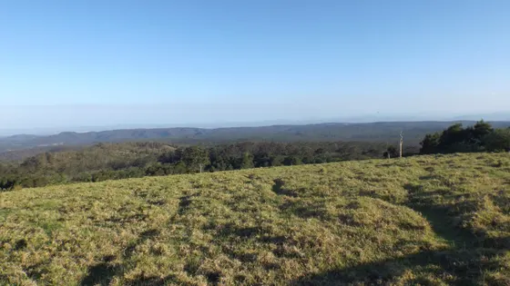 Gus Beutel Lookout