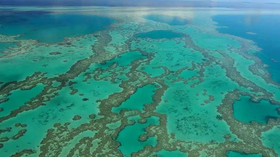 Hardy Reef