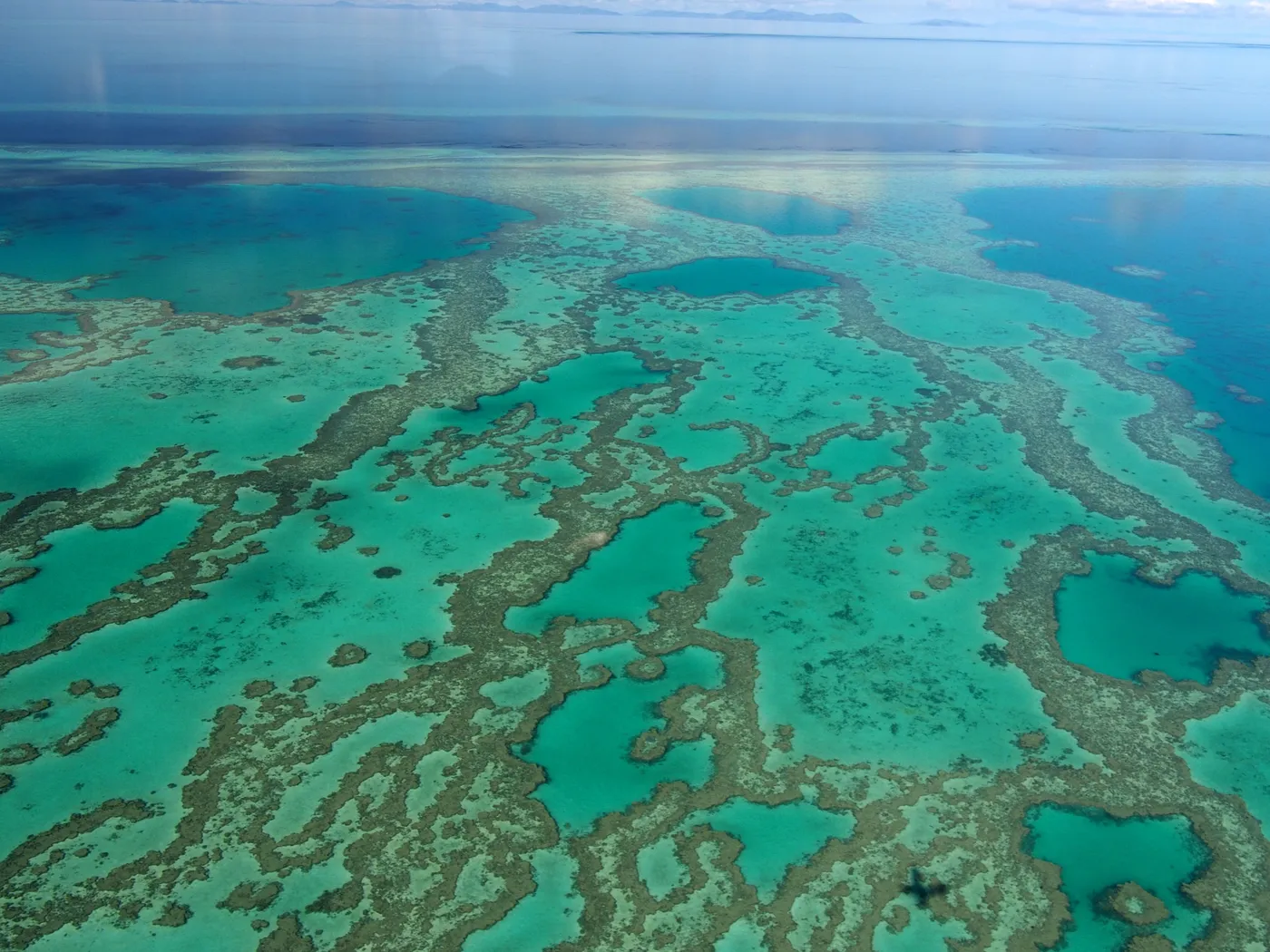 Hardy Reef