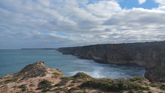 Head of Bight Whale Watching Centre