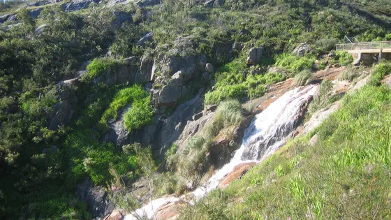 Head of the Falls