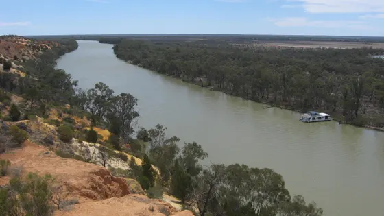 Headings Cliff Lookout