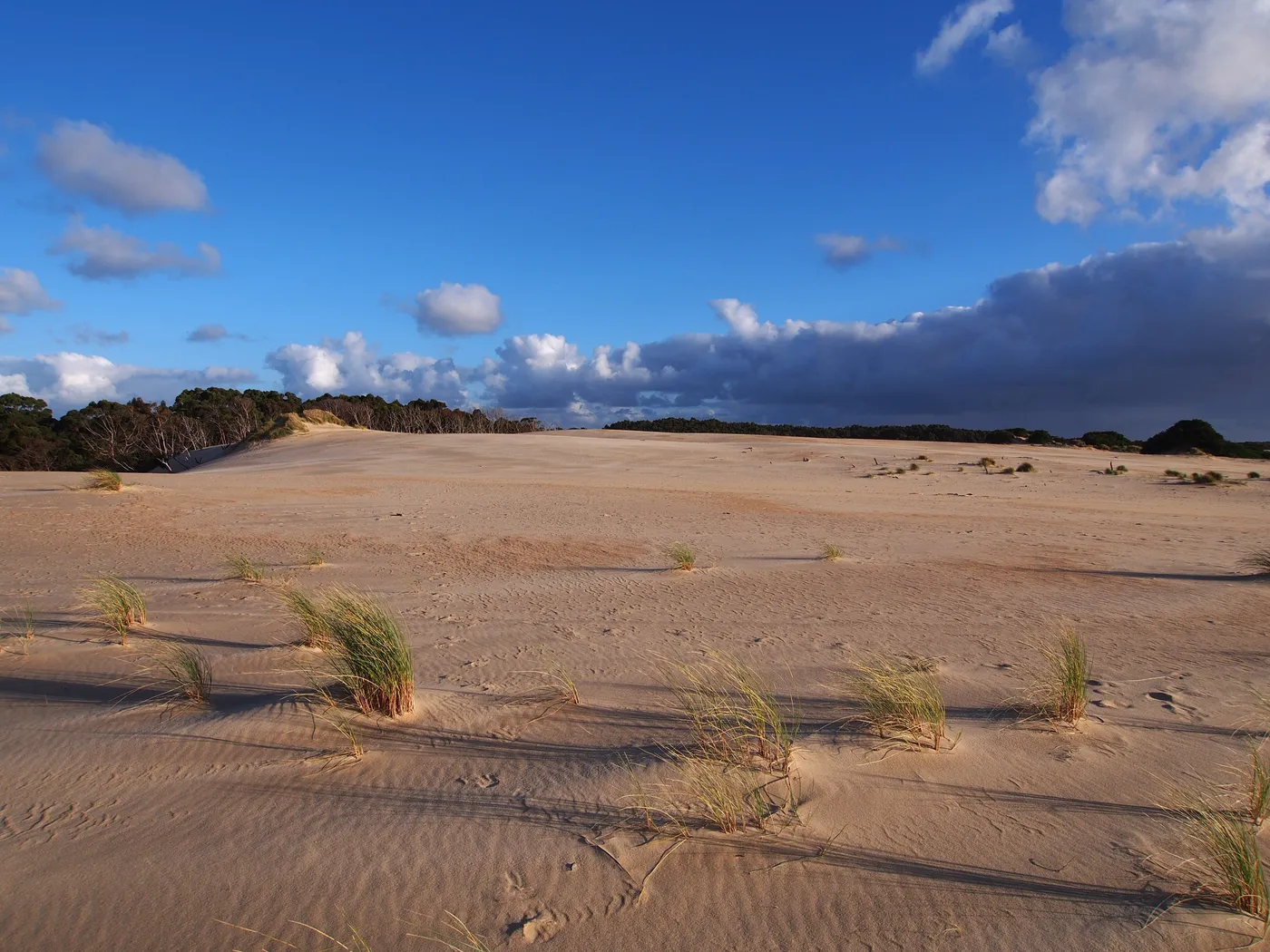 Henty Dunes