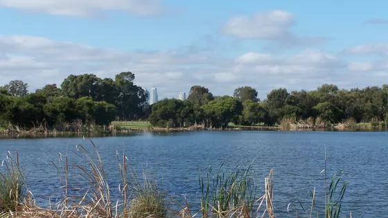 Herdsman Lake