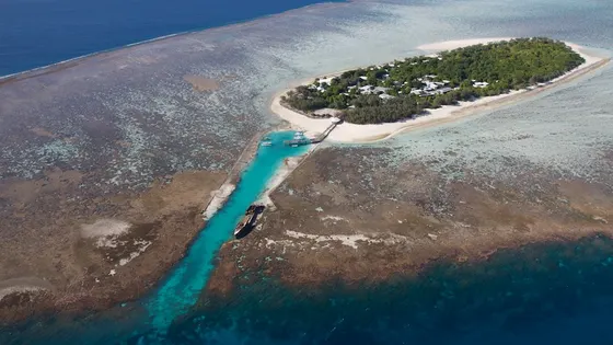 Heron Island