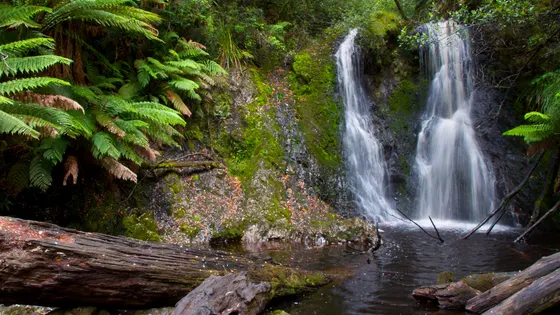 Hogarth Falls